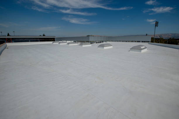 Best Steel Roofing  in Clover Creek, WA